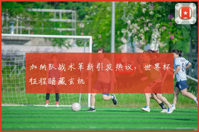 加纳队战术革新引发热议，世界杯征程暗藏玄机