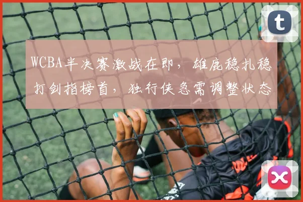WCBA半决赛激战在即，雄鹿稳扎稳打剑指榜首，独行侠急需调整状态