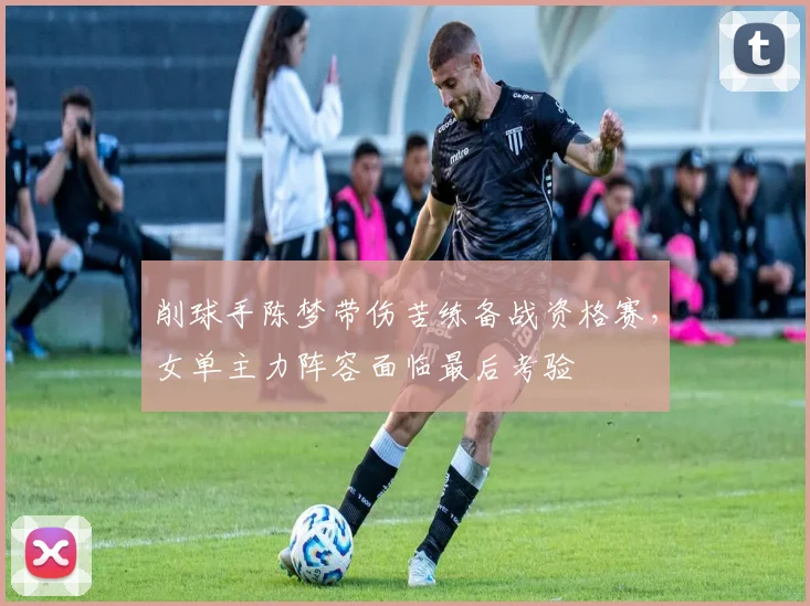 削球手陈梦带伤苦练备战资格赛，女单主力阵容面临最后考验